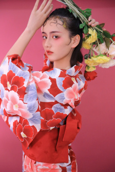 刺杀小说家